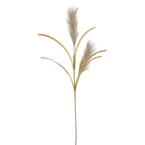 Ramo decorativo Khali Pampas color Verde  Ø 5 x h 85 cm Casa e cucina/Decorazioni per interni/Addobbi e decorazioni per ricorrenze/Decorazioni natalizie/Ghirlande e corone MagiediNatale.it - Altamura, Commerciovirtuoso.it