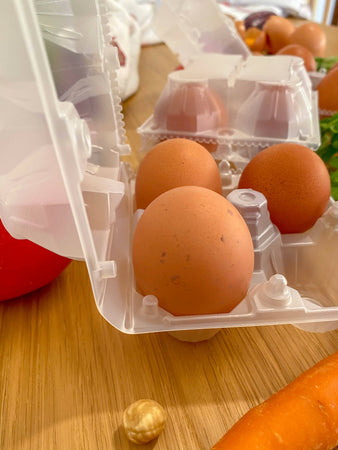Confezione da 4 uova in plastica