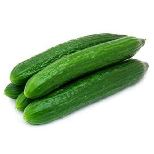 Semi di cetriolo Marketmore 76 piante per orto e giardino Giardino e giardinaggio/Piante semi e bulbi/Piante da esterno/Vegetali La Zappa - Altamura, Commerciovirtuoso.it