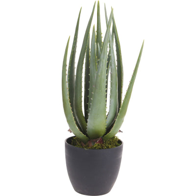 Vaso pianta artificiale Aloe decorativa verde da 45 cm per interno Casa e cucina/Decorazioni per interni/Piante e fiori artificiali/Piante artificiali Decor Space - Altamura, Commerciovirtuoso.it