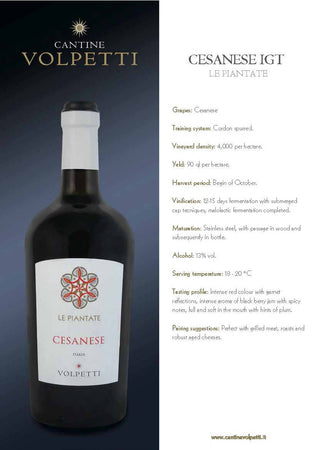 Cantine Volpetti vino Rosso CESANESE IGT LAZIO Bottiglia 750ml imballo sicuro vino Non solo caffè online - Albano Laziale, Commerciovirtuoso.it
