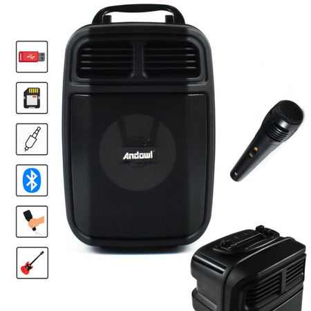 Altoparlante Bluetooth Wireless Microfono Supporto Cellulare Karaoke Led Q-l024