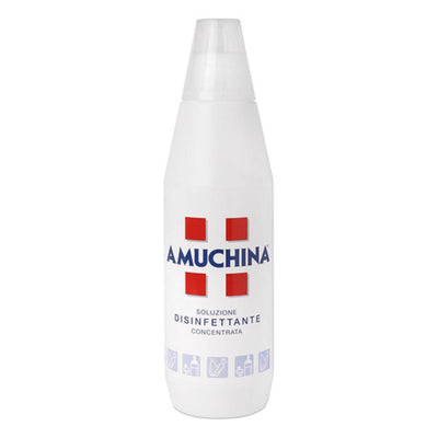Amuchina 100% 1000Ml Angelini