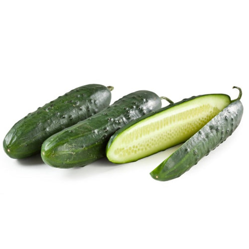 Semi Di Cetriolo mezzo Lungo Verde Piante per Orto E Giardino Giardino e giardinaggio/Piante semi e bulbi/Piante da esterno/Vegetali La Zappa - Altamura, Commerciovirtuoso.it