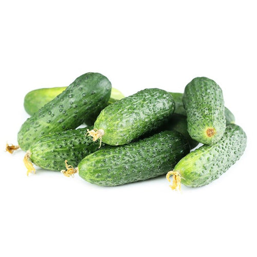 Semi di cetriolo Piccolo verde di Parigi piante per orto e giardino Giardino e giardinaggio/Piante semi e bulbi/Piante da esterno/Vegetali La Zappa - Altamura, Commerciovirtuoso.it