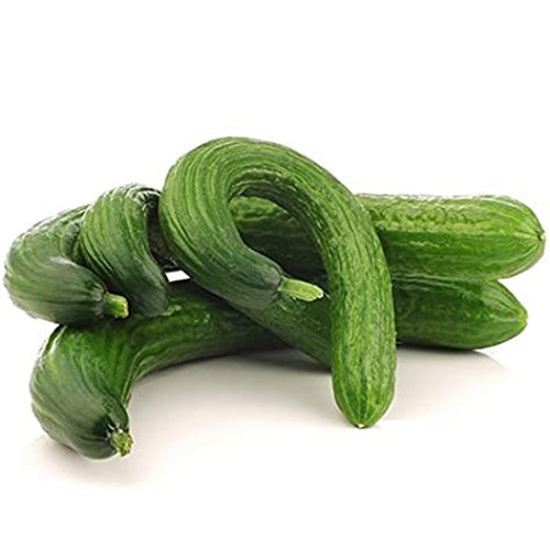 Semi di cetriolo Serpente Cinese piante per orto e giardino Giardino e giardinaggio/Piante semi e bulbi/Piante da esterno/Vegetali La Zappa - Altamura, Commerciovirtuoso.it