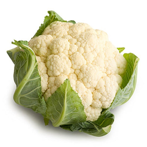 Semi di cavolfiore precoce  Brassica oleracea di Toscana piante per orto e giardino Giardino e giardinaggio/Piante semi e bulbi/Piante da esterno/Vegetali La Zappa - Altamura, Commerciovirtuoso.it