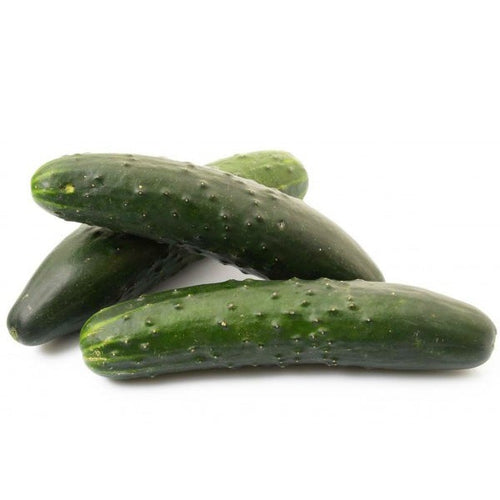 Semi Di Cetriolo cetriolo Palomar Piante per Orto E Giardino Giardino e giardinaggio/Piante semi e bulbi/Piante da esterno/Vegetali La Zappa - Altamura, Commerciovirtuoso.it