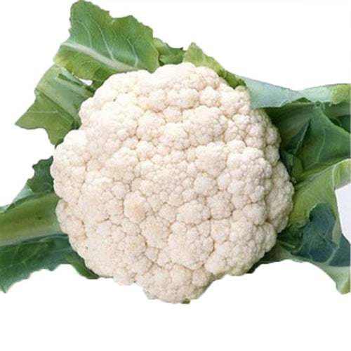 Semi di cavolfiore Brassica oleracea di Jesi piante per orto e giardino Giardino e giardinaggio/Piante semi e bulbi/Piante da esterno/Vegetali La Zappa - Altamura, Commerciovirtuoso.it