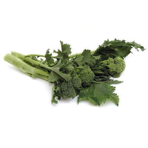 Semi di cima di Rapa Riccia S.Marzano di marzo piante per orto e giardino Giardino e giardinaggio/Piante semi e bulbi/Piante da esterno/Vegetali La Zappa - Altamura, Commerciovirtuoso.it