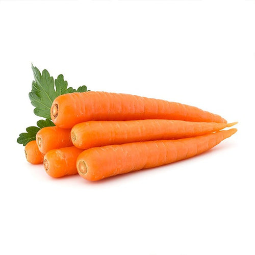 Semi Di Carota touchon Piante per Orto E Giardino Giardino e giardinaggio/Piante semi e bulbi/Piante da esterno/Vegetali La Zappa - Altamura, Commerciovirtuoso.it