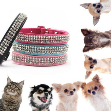 Collare Con Strass Per Cani Cane Gatti Animali Pet Brillantini Colori  Assortiti - commercioVirtuoso.it