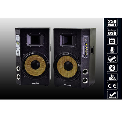 Coppia Casse Audio Usb Bluetooth Per Karaoke Dj Extreme Sound Maxtech Cx-2s10u-b
