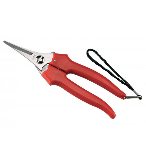 Forbice da pota Garden per vendemmia e giardinaggio con lama dritta in inox da 19 cm Fai da te/Utensili elettrici e a mano/Attrezzi da giardinaggio/Forbici e cesoie per potatura La Zappa - Altamura, Commerciovirtuoso.it