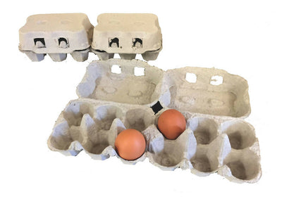 confezioni da 6 uova in cartone