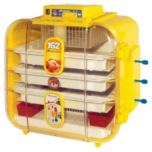 Incubatrice per uova Covatutto 162 Lt con gira uova manuale 240w Commercio Industria e Scienza/Attrezzature e forniture agricole/Pollame piccioni e selvaggina/Attrezzature per gestione delle uova/Incubatrici La Zappa - Altamura, Commerciovirtuoso.it