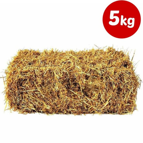 Paglia Colore Legno Da 5 Kg Per Decorazioni Addobbi Presepe E Cesti Da Regalo