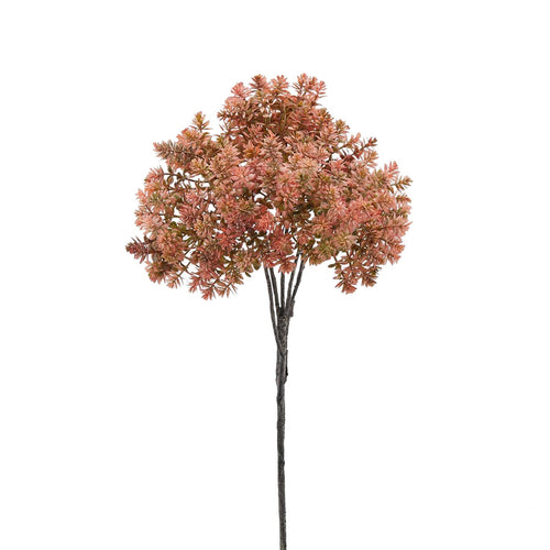 Pianta Sedum Bell Caspuglio decorazione natalizia ramo decorativo per arredamento h 50 cm Casa e cucina/Decorazioni per interni/Addobbi e decorazioni per ricorrenze/Decorazioni natalizie/Ghirlande e corone MagiediNatale.it - Altamura, Commerciovirtuoso.it