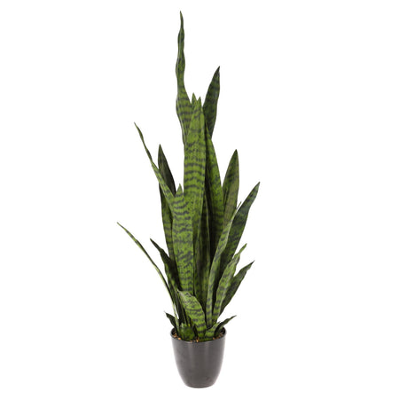 Pianta artificiale "Sansevieria" con vaso grigio decorativa verde da 92 cm per interno Casa e cucina/Decorazioni per interni/Piante e fiori artificiali/Piante artificiali Decor Space - Altamura, Commerciovirtuoso.it