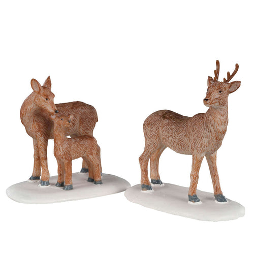 Decorazione Set di famiglia di cervi di 2 per Villaggio di Natale e presepe Casa e cucina/Decorazioni per interni/Addobbi e decorazioni per ricorrenze/Decorazioni natalizie/Oggettistica MagiediNatale.it - Altamura, Commerciovirtuoso.it