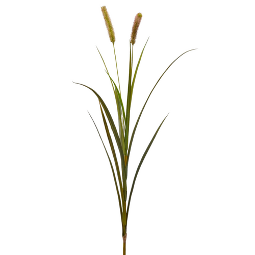 Ramo di Festuca con due spighe, verde e rosso, decorazione natalizia da 98 cm Casa e cucina/Decorazioni per interni/Addobbi e decorazioni per ricorrenze/Decorazioni natalizie/Ghirlande e corone MagiediNatale.it - Altamura, Commerciovirtuoso.it