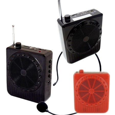 Radio Fm Karaoke Usb Cassa Speaker Microfono Archetto Amplificatore Audio 20w