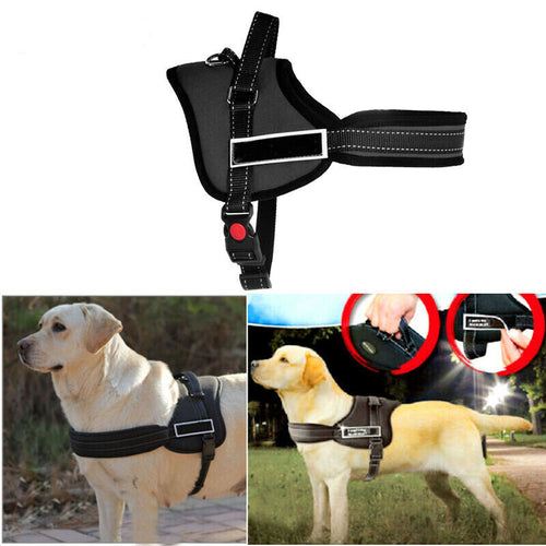 PETTORINA IMBRAGATURA CON MANIGLIA GUINZAGLIO PER CANI SPORT DOG addestramento