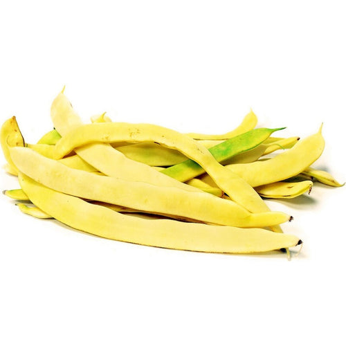 Semi di fagiolo Nano Mangiatutto Meraviglia piante per orto e giardino coltivazione domestica e professionale Giardino e giardinaggio/Piante semi e bulbi/Sementi/Vegetali La Zappa - Altamura, Commerciovirtuoso.it