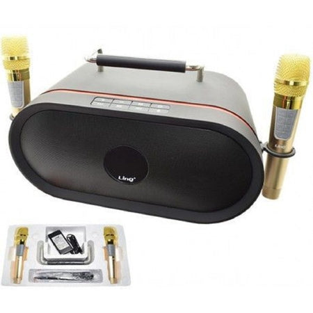 Set Audio Bluetooth Per Karaoke Portatile Cassa Speaker Stereo Microfoni 60w K-6668