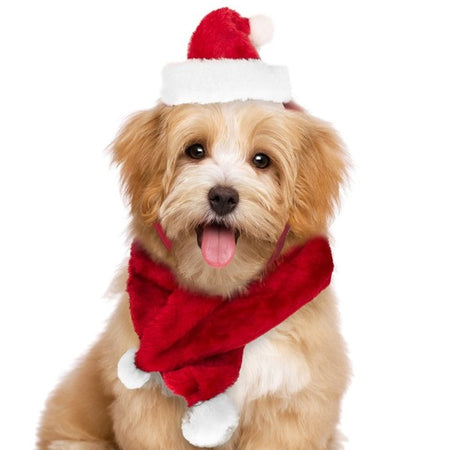 Set Sciarpa Cappello Babbo Natale Per Cani Gatti Di Piccola Taglia Rosso