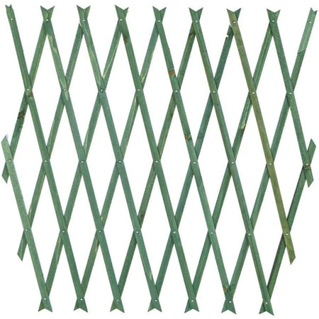 Traliccio Rete Estensibile In Legno Verde Per Parete Da Giardino Piante 180x30cm